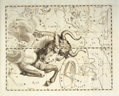 Härkä, Härän tähdistö, kaiverrus taivaan atlassta Firmamentum Sobiescianum sive Uronographia, Johann Hevelius (1611-1687), Gdansk tekijältä Johannes Hevelius