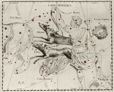 Tähdistö Canes Venatici, metsästyskoirat. Levy piirretty Johannes Heveliuksen tai Hevelin (1611-1687) "Firmamentum Sobiescanum sive Uranographia" -julkaisusta tekijältä Johannes Hevelius