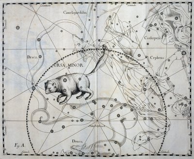 Ursa Minor, Boreaalinen Pienjärven tähdistö, kaiverrus taivaan atlassta Firmamentum Sobiescianum sive Uronographia, kirjoittanut Johann Hevelius (1611-1687), Gdansk tekijältä Johannes Hevelius