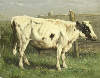 Nuori Bull tekijältä Johannes Hubertus Leonardus de Haas