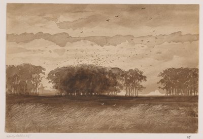 Rookery Pohjois-Brabantissa tekijältä Johannes Tavenraat (signed by artist)
