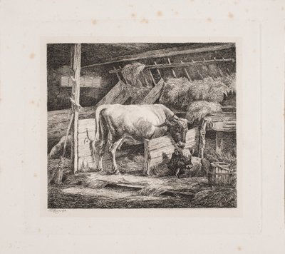 Navetta tekijältä Johannes Wilhelm Zillen