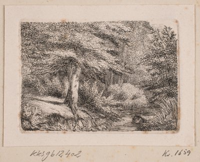 Metsäalue tekijältä Johannes Wilhelm Zillen