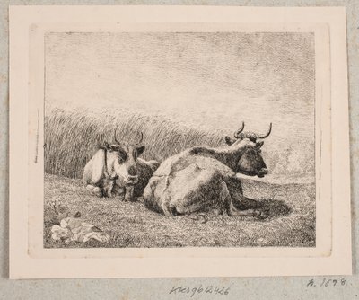 Kaksi lepäävää lehmää tekijältä Johannes Wilhelm Zillen