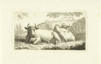 Kaksi makaavaa lehmää tekijältä Johannes van Cuylenburgh