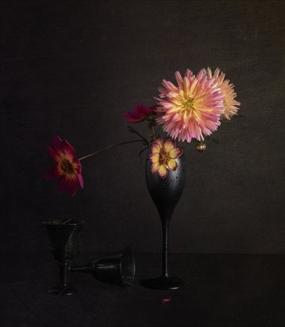 Moody Dahlia -asetelma tekijältä John-Mei Zhong
