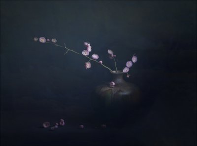 Luumukukka-asetelma tekijältä John-Mei Zhong