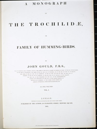 Etukuva (käsin väritetty litografia). tekijältä John (after) Gould