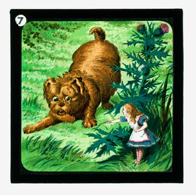Liisa Ihmemaassa, värilliset lyhtydiat (lyhtyliukumäki) tekijältä John (after) Tenniel