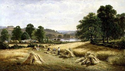 Kultaisen viljan kerääminen lähellä Bishopsteigntonia, Plymouth tekijältä John Barrett