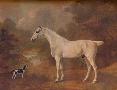 Kirppujen purema harmaa ja täpläterrieri, 1803. tekijältä John Boultbee