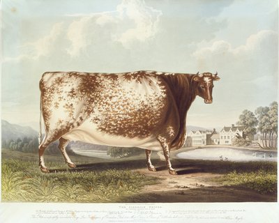 Airedale Hiefer, kaiverrus R. Reeve, 1820 (värikaiverrus) tekijältä John Bradley