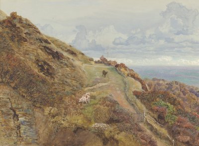 Bonchurch Downs, 1865. tekijältä John Brett