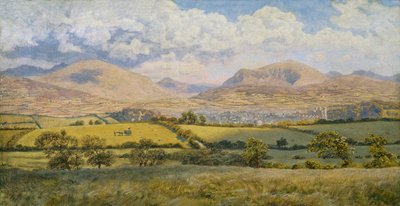 "Caernarvon", 1875 tekijältä John Brett