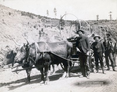 Kultakuume Etelä-Dakotassa tekijältä John C. H. Grabill