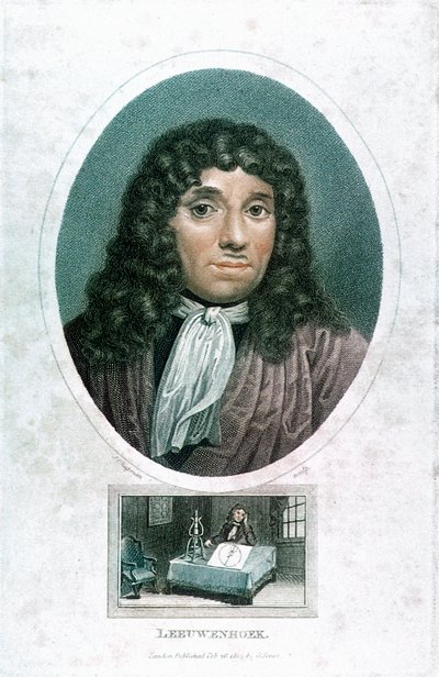 Anton van Leeuwenhoek 1632-1723, hollantilainen mikroskooppi, c1810 tekijältä John Chapman