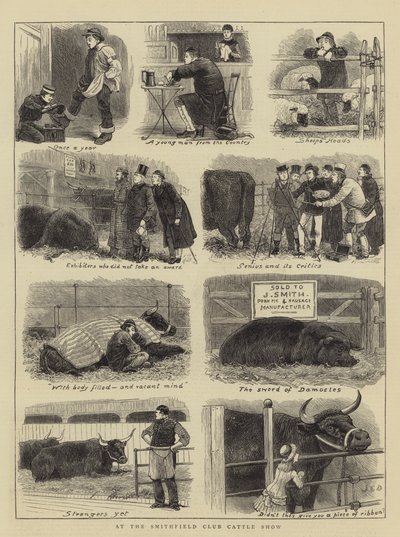 Smithfield Clubin karjanäyttelyssä tekijältä John Charles Dollman