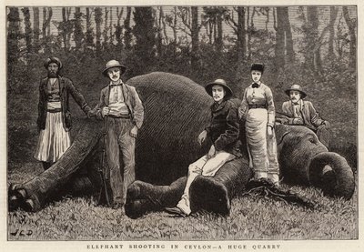 Elefanttien ammunta Ceylonissa, valtavassa louhoksessa tekijältä John Charles Dollman