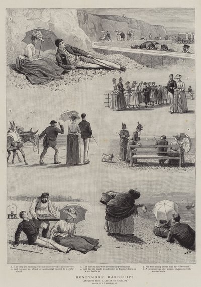 Häämatkan vaikeudet tekijältä John Charles Dollman