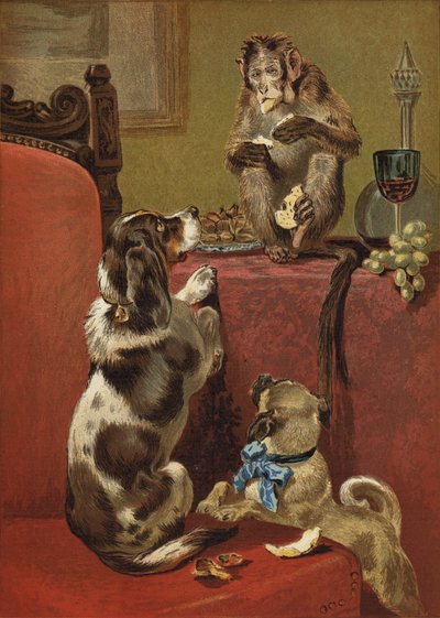 Ahne apina tekijältä John Charles Dollman