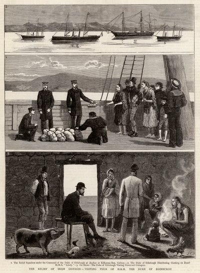 Irlannin ahdingon lievitys, Edinburghin herttuan HRH:n vierailukierros tekijältä John Charles Dollman