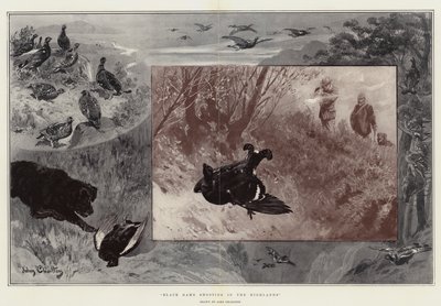 Black Game Shooting in the Highlands tekijältä John Charlton