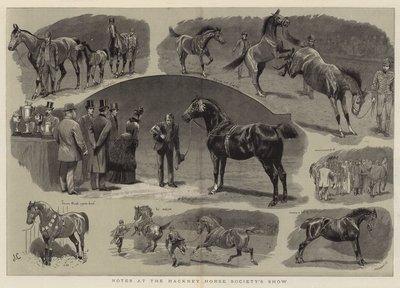 Muistiinpanot Hackney Horse Society Showssa tekijältä John Charlton