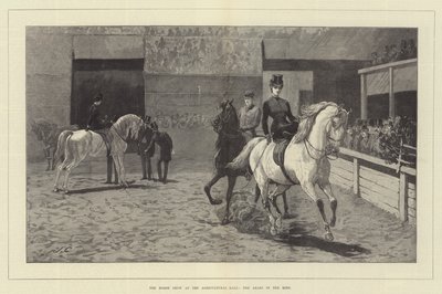Hevosnäyttely Maataloushallissa, Arabit kehässä tekijältä John Charlton
