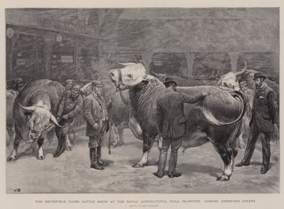 Smithfield Clubin karjanäyttely Royal Agricultural Hallissa Islingtonissa, tuomarina Hereford Steers tekijältä John Charlton