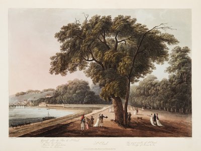 St Cloud, St Cloudin suuri kävelykatu, Sevresin silta jne. jne., kuvitus Versailles