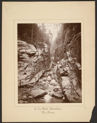 Valkoisilla vuorilla/The Flume tekijältä John Coates Browne