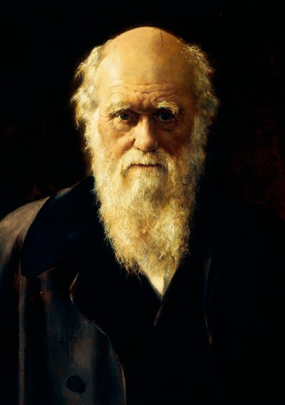 Charles Darwinin muotokuva tekijältä John Collier