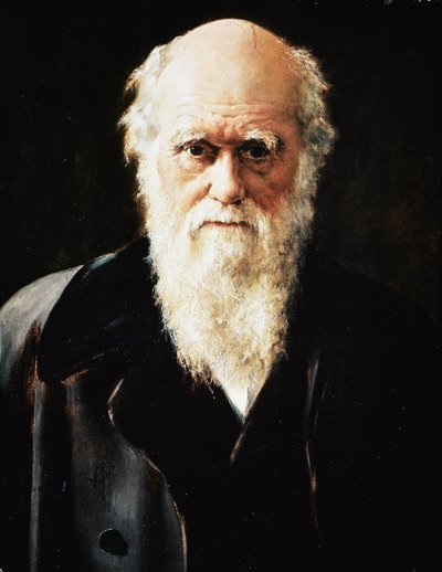 Englantilaisen luonnontieteilijän Charles Darwinin muotokuva, yksityiskohta (öljy kankaalle tekijältä John Collier
