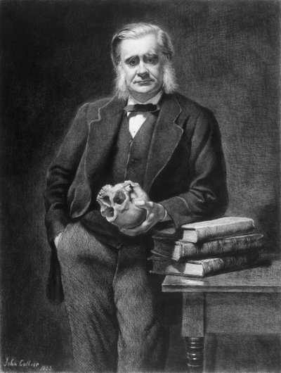 Thomas Henry Huxley (1825-95), kaivertanut Leopold Flameng (1831-1911) 1885 tekijältä John Collier
