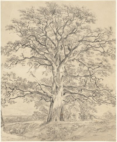 Suuri tammi tekijältä John Constable