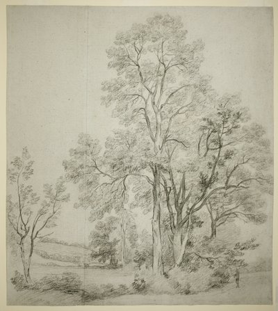 Jalavapuu (recto); Tutkimus East Bergholtista kirkon kanssa (käänteinen) tekijältä John Constable