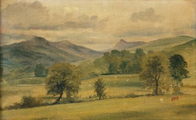 Näkymä järvialueella (akvarelli) tekijältä John Constable