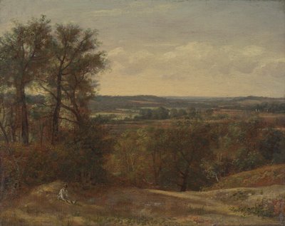 Dadham Wale tekijältä John Constable