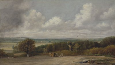 Aurauskohtaus Suffolkissa tekijältä John Constable