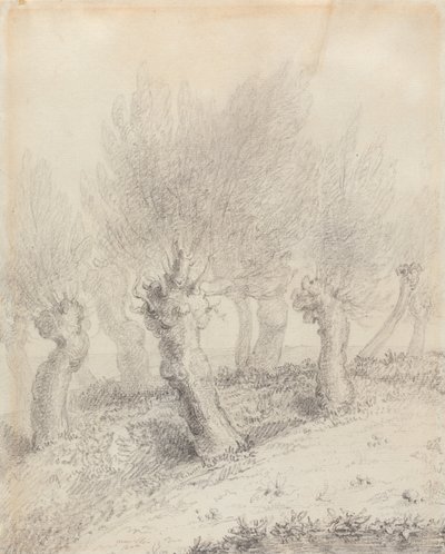 Latvotut pajut tekijältä John Constable
