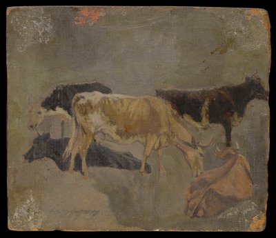Tutkimus viisisarvisesta karjasta (verso) (öljy myllylaudalle) tekijältä John Constable