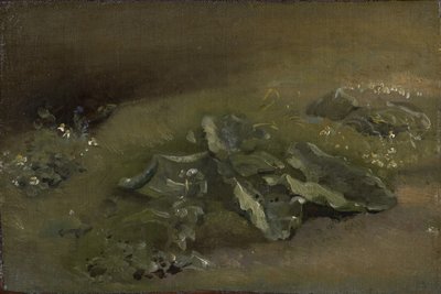 Tutkimus takiaisesta, n. 1810–1814 tai n. 1828 tekijältä John Constable