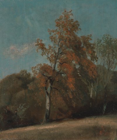 Tutkimus tuhkapuusta tekijältä John Constable