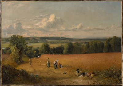 Vehnäpelto tekijältä John Constable