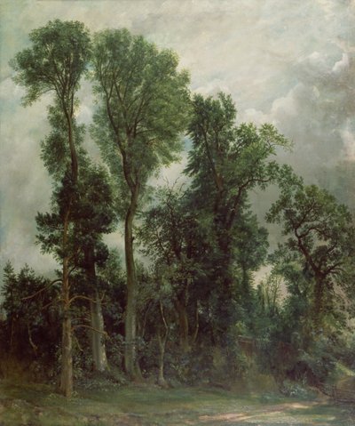 Puut Hampsteadissa tekijältä John Constable