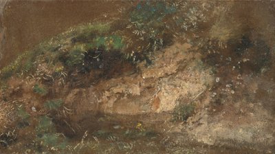 Aluskasvillisuus tekijältä John Constable