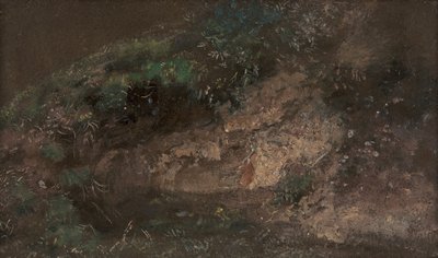Aluskasvillisuus, n. 1821. tekijältä John Constable