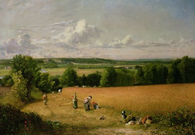 Vehnäpelto tekijältä John Constable