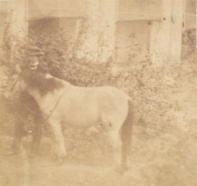 [Ihminen ja hevonen, hallitustalo, Allahabad], 1858. tekijältä John Constantine Stanley