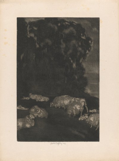 Lampaat hämärässä tekijältä John Copley